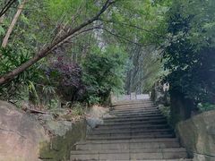 -铁山坪森林公园