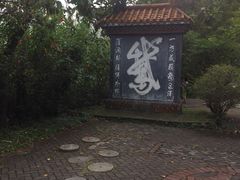 -靖西鹅泉风景区