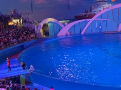 -海合安青岛极地海洋公园