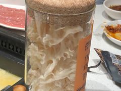 -巴奴毛肚火锅概念餐厅