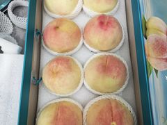 -老袁家蜜桃农场·阳山水蜜桃