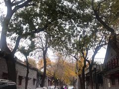 -VOYAGE COFFEE(北锣鼓巷店)