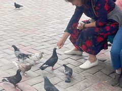 -黑龙江公园