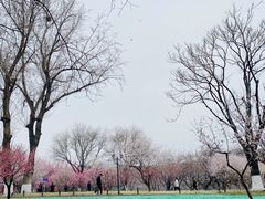 -北京明城墙遗址公园