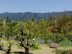 -炎帝陵景区