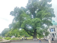 -东京国立博物馆