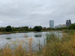 -群力丁香公园