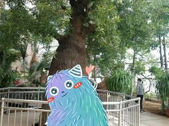 -石家庄市植物园