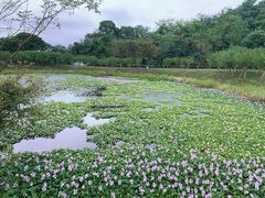 -下渚湖国家湿地公园科普馆