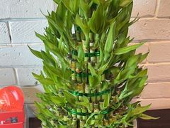 -三只耳火锅(宽窄巷子店)