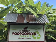 -大象粑粑造纸公园