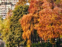 -晓港公园