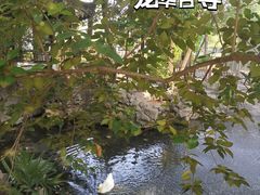 -龙华寺