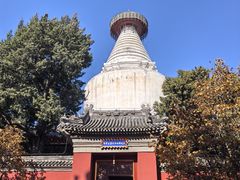 -杏园餐厅(阜成门店)
