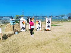 -乌村