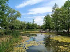 -梁鸿国家湿地公园
