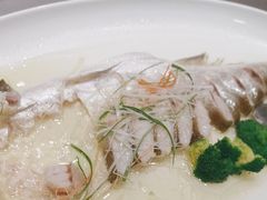 -上海精菜馆(虎踞关店)
