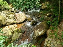 -宁波五龙潭景区