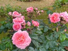 -人民公园(罗湖区)