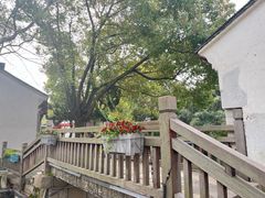 -丝绸小镇荻港古村