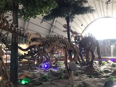 -辽宁古生物博物馆