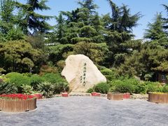 -西苑公园