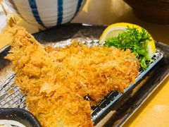 -胜博殿日式炸猪排(西红门店)