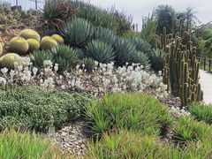 -墨尔本皇家植物园