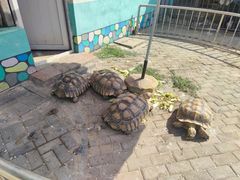 -廊坊市自然公园