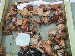 -大湾区中央湿地公园-十九涌