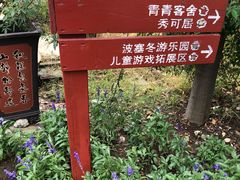 -鹅湖玫瑰文化园