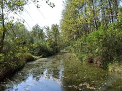 -溱湖国家湿地公园