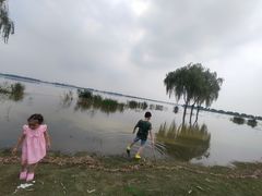 -漕湖湿地公园