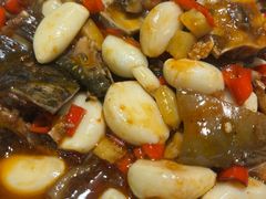 -颍禾炒鸡·阜南(盛世家园店)