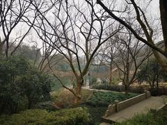 -解香楼(八盘岭路店)