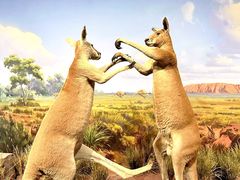 -陕西自然博物馆