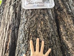 -金堂县云顶石城风景区