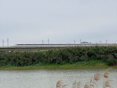 -光明小镇欢乐田园