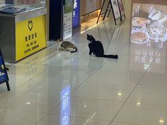 -凯德广场(西城店)
