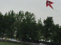 -天津武清北运河郊野公园房车露营地