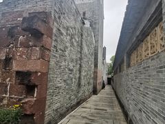 -碧江金楼