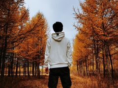 -塞罕坝国家级自然保护区