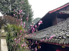 -峨眉山报国寺
