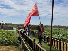 -洪湖生态旅游区