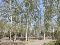 -永定河休闲森林公园