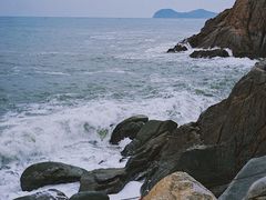 -广东惠东海龟国家级自然保护区