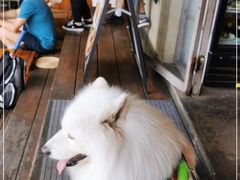 -Brut Eatery悦璞食堂(愚园路店)