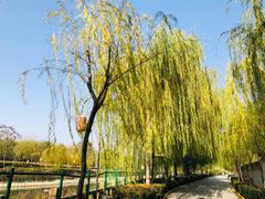 -西安汉城湖景区