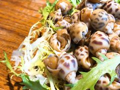 糟花螺-周家二小姐的菜(西津渡店)