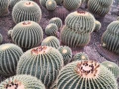 -北京植物园-展览温室